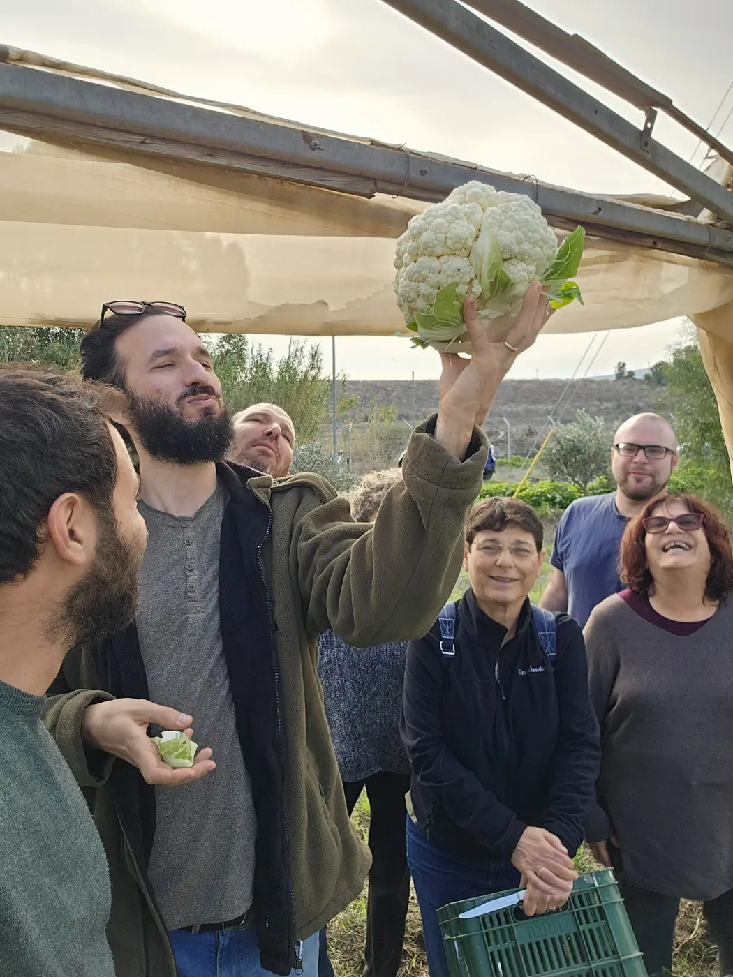 ביקור בחווה - מסתכלים על כרובית ענקית
